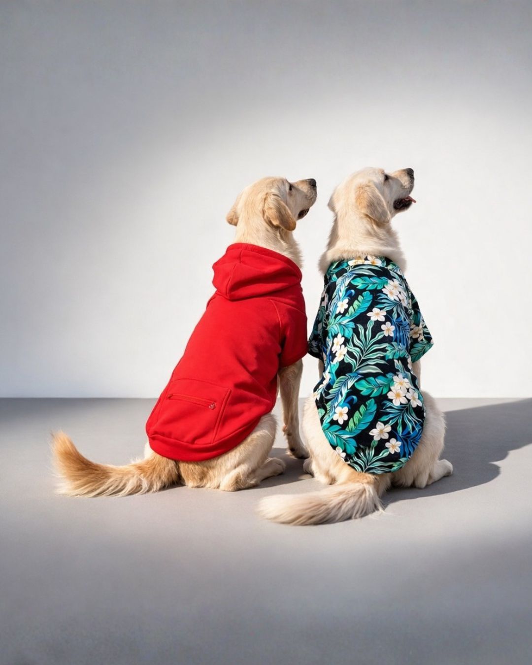 Large Dogs