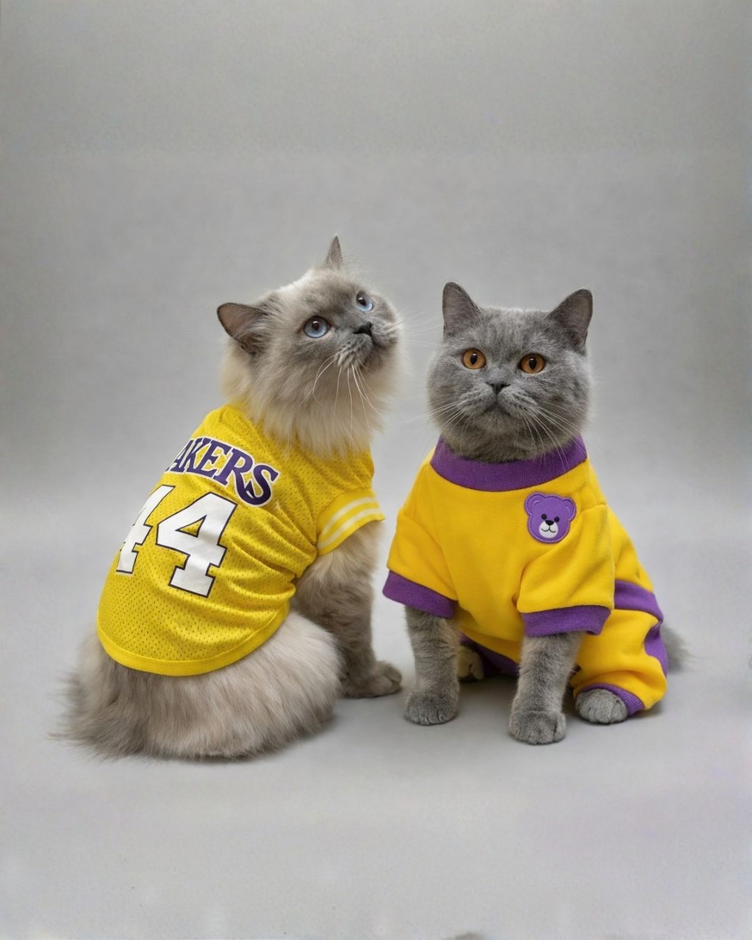 Cats