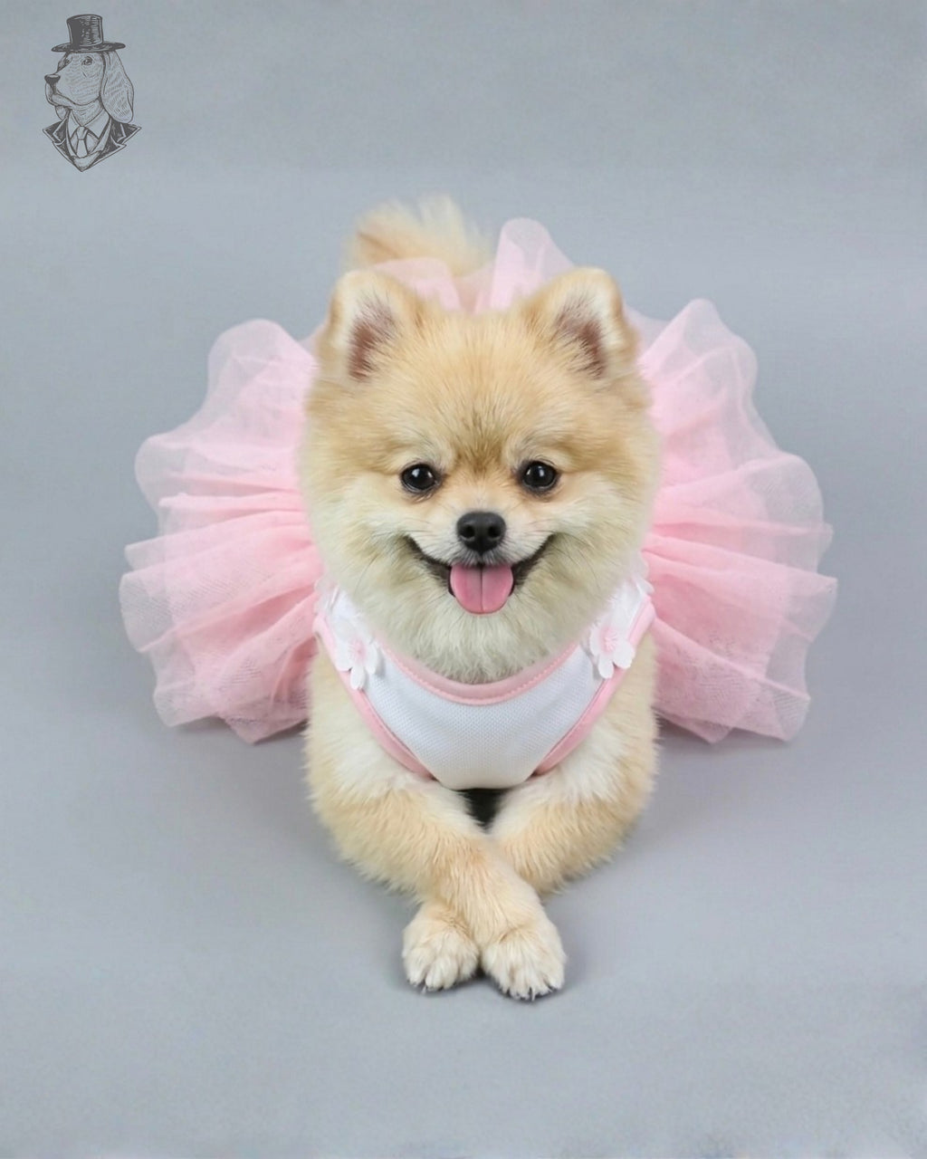 Blossom Princess Dress