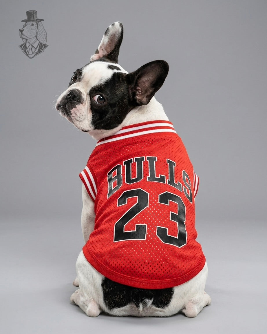 Bulls 23 Jersey