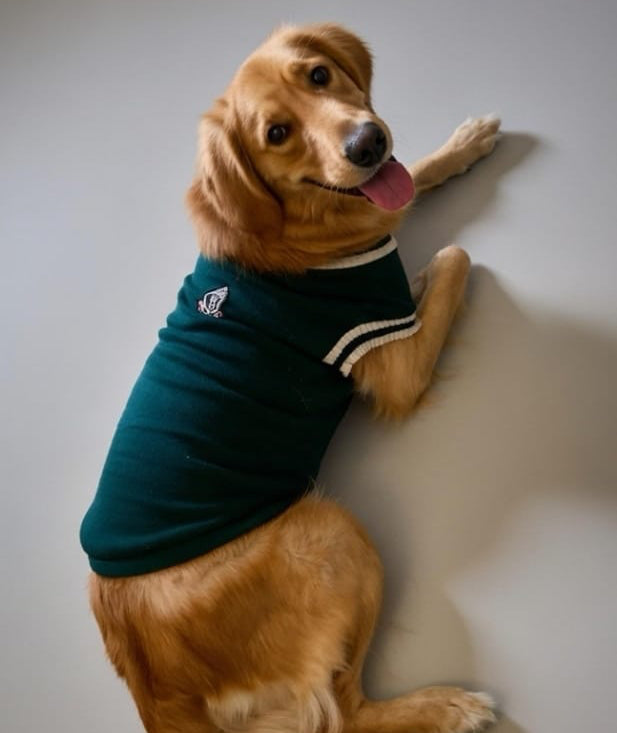 Academy Classic Pullover