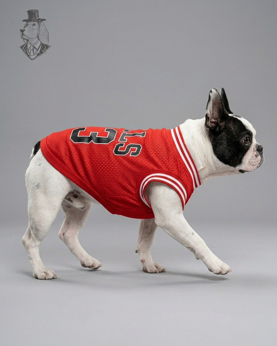 Bulls 23 Jersey