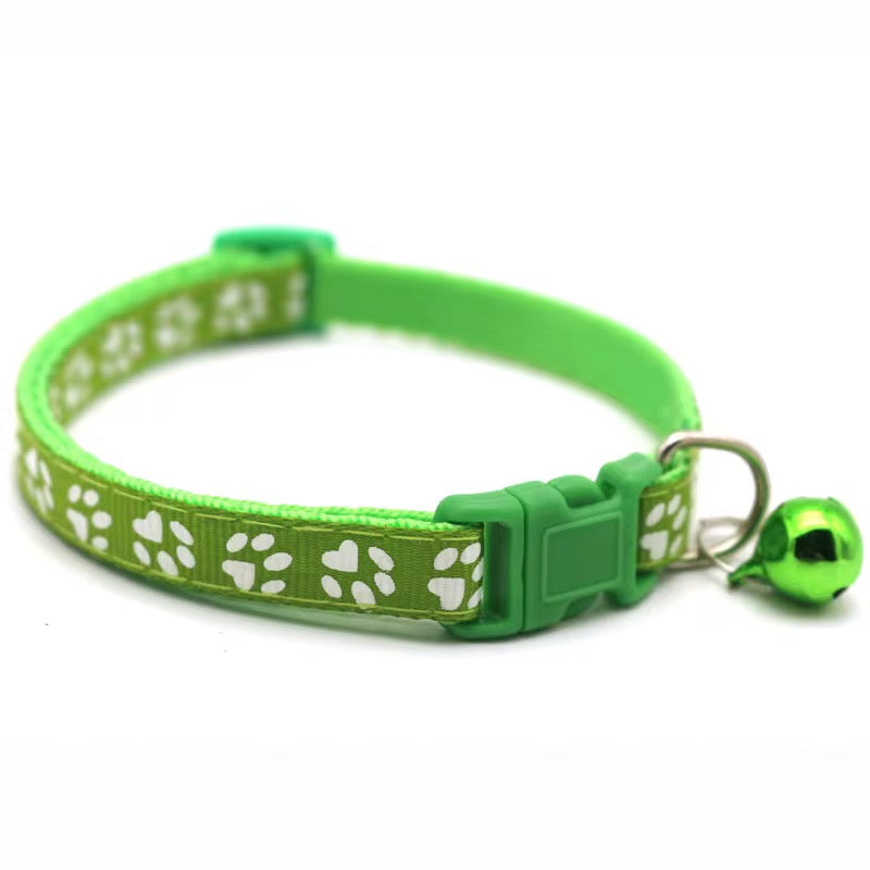 Color Pop Paw Collar 33Cm