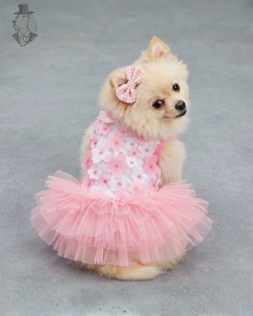 Blossom Princess Dress