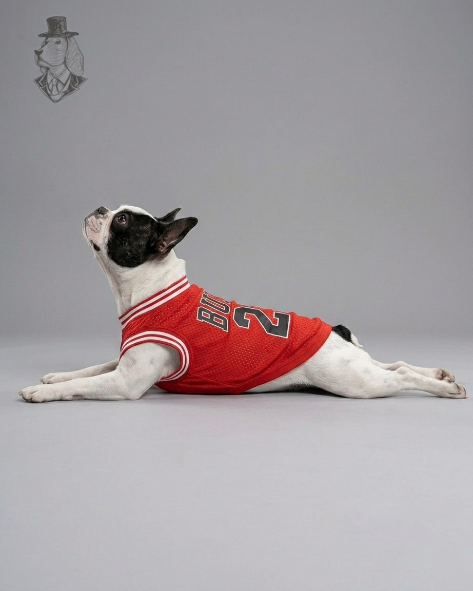 Bulls 23 Jersey