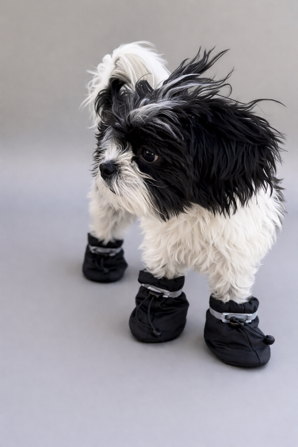 Premium Waterproof Dog Boots