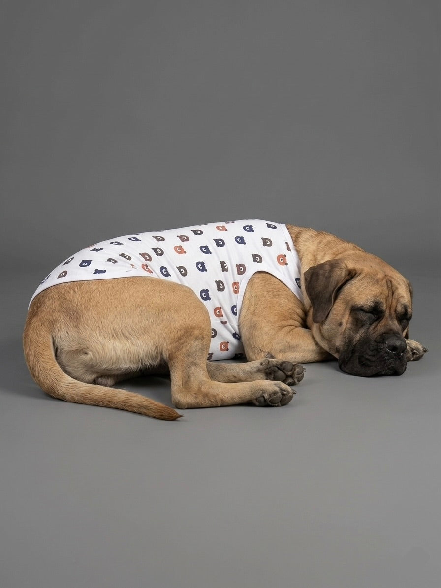 Bear Pop Tee