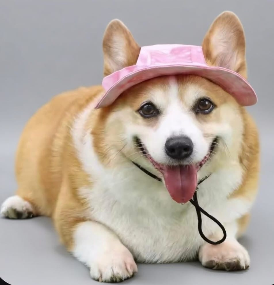 Soft Horizon Hat