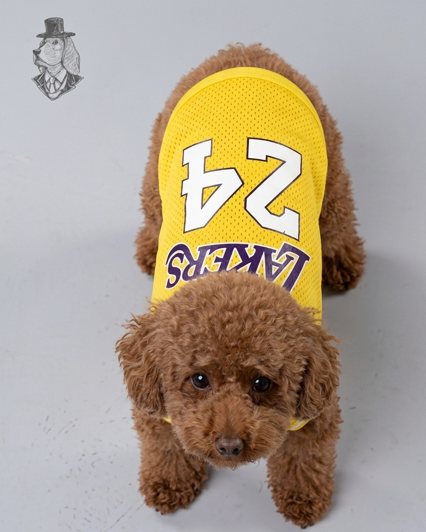 Lakers 24 Jersey