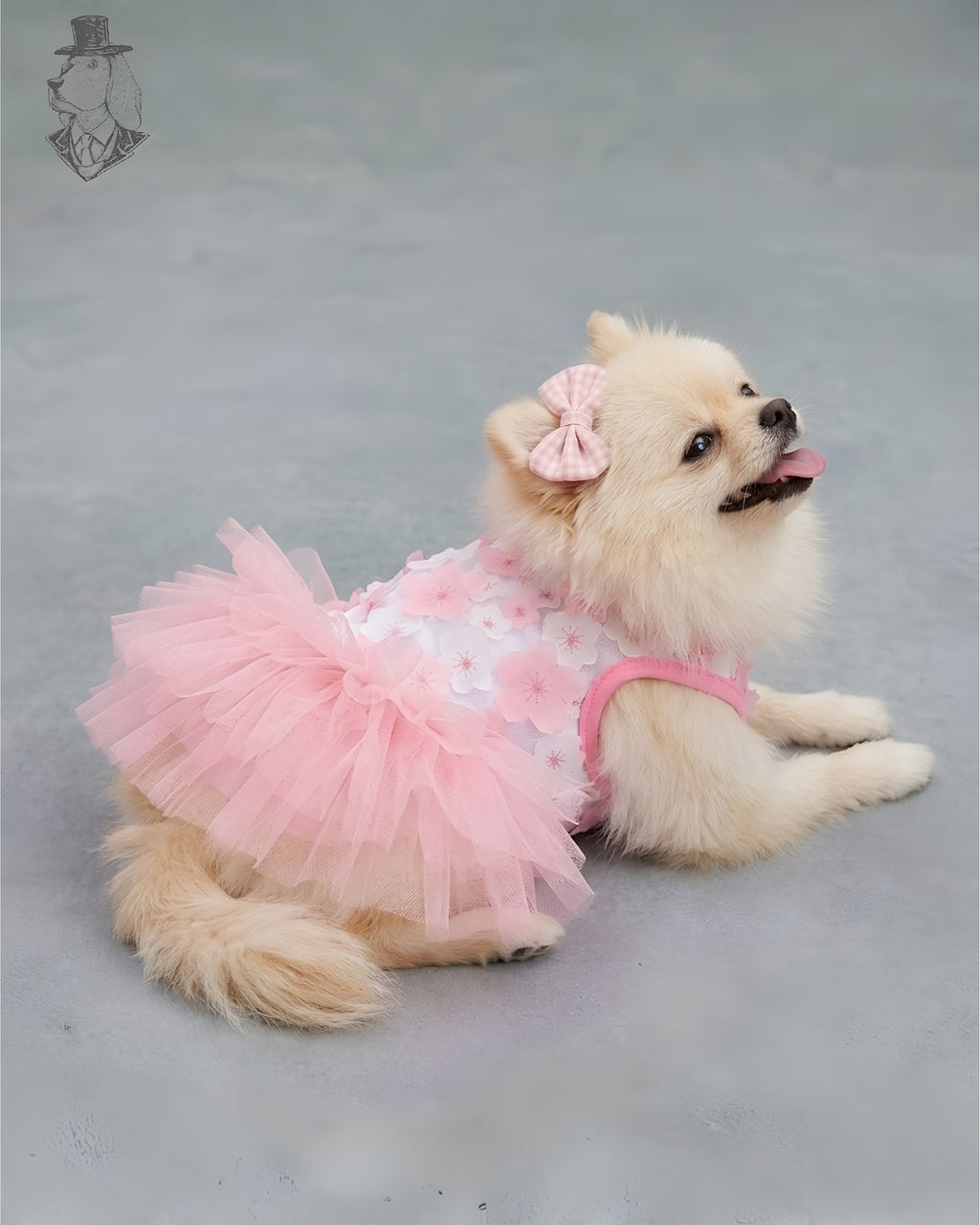 Blossom Princess Dress
