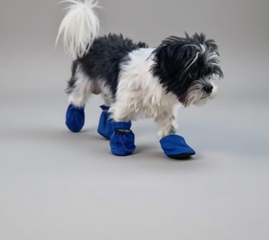 Premium Waterproof Dog Boots