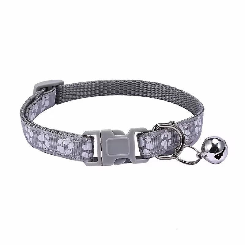 Color Pop Paw Collar 33Cm