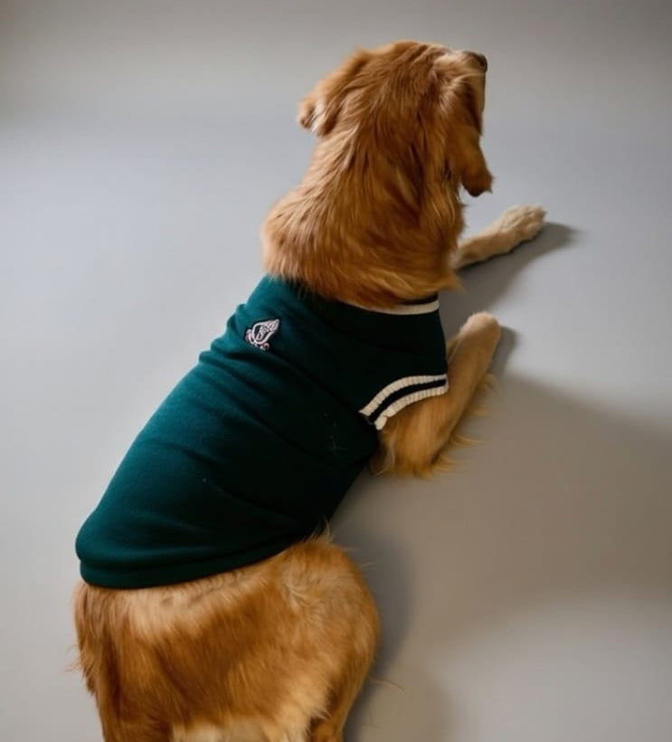 Academy Classic Pullover