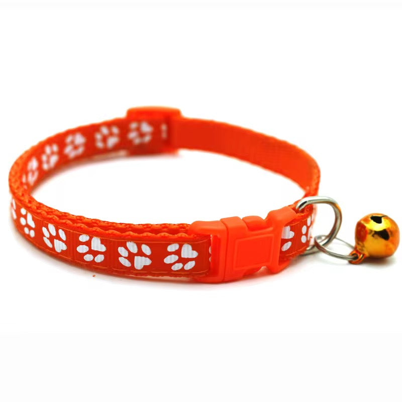 Color Pop Paw Collar 33Cm