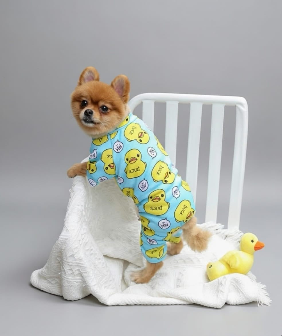 Blue & Pink Duck Soft Jumpsuit