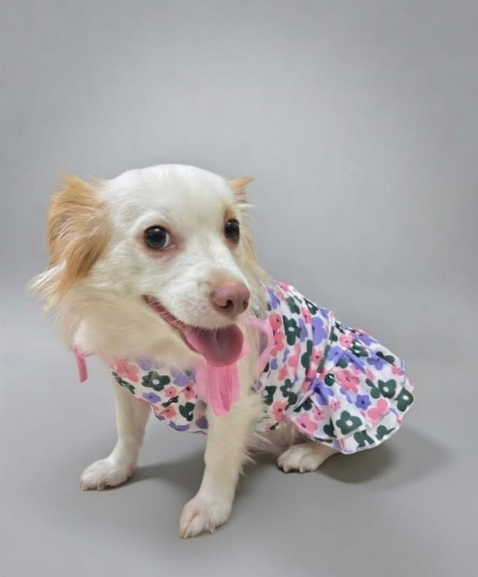 Blossom Charm Dress