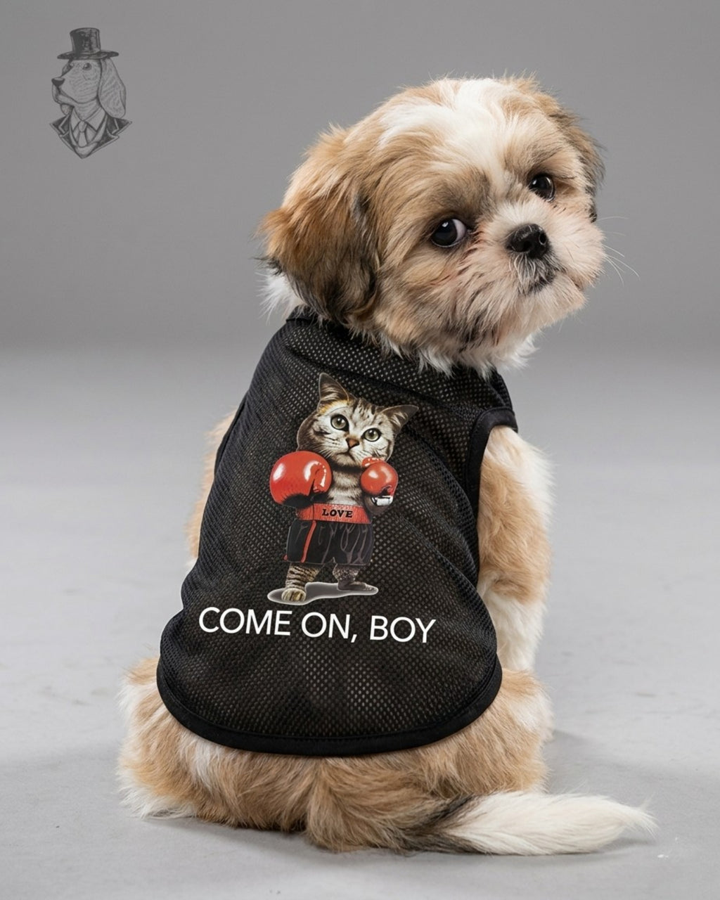 Boxer Kitty Tee