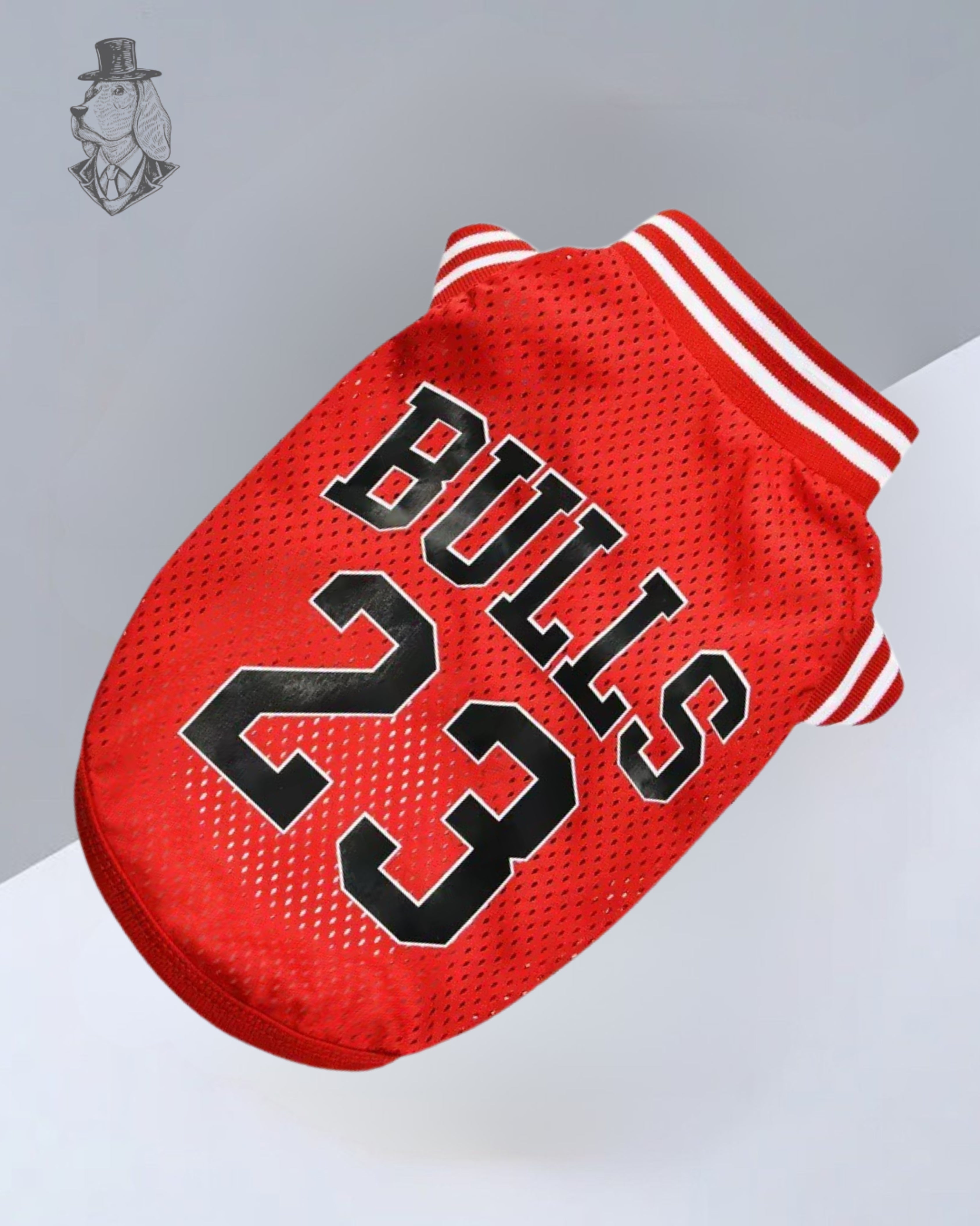 Bulls 23 Jersey