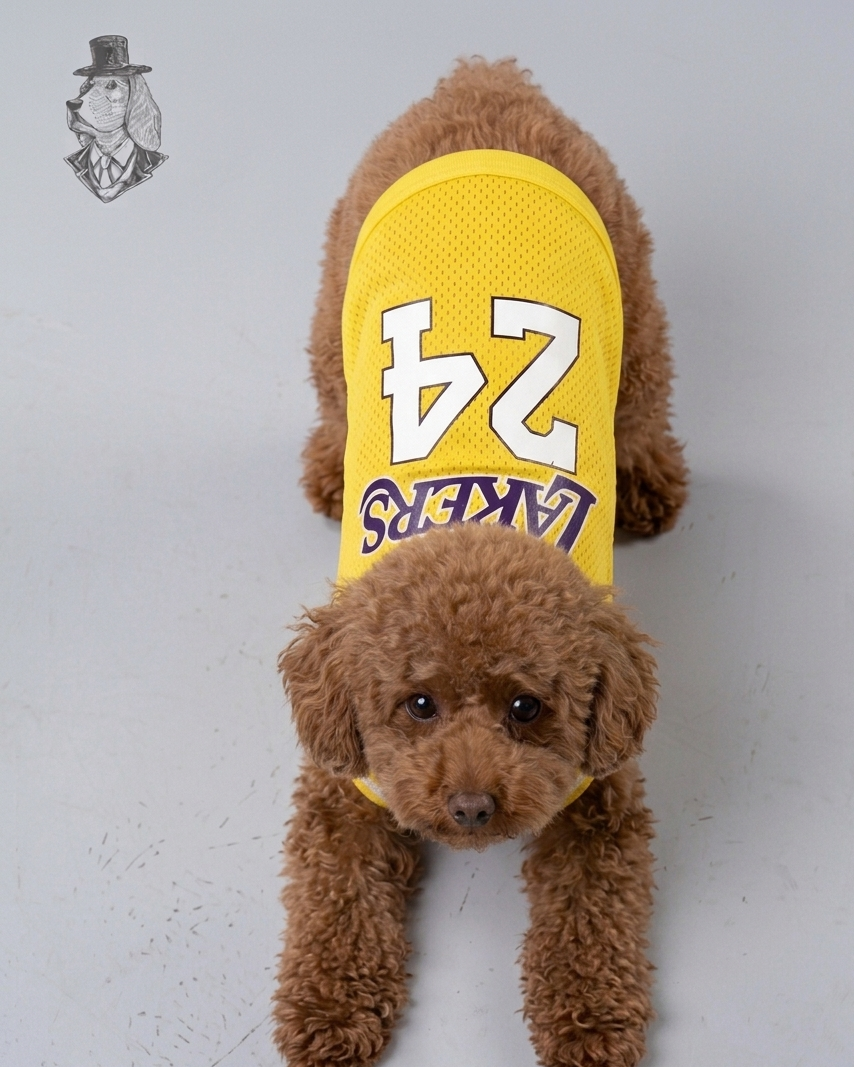 Lakers 24 Jersey
