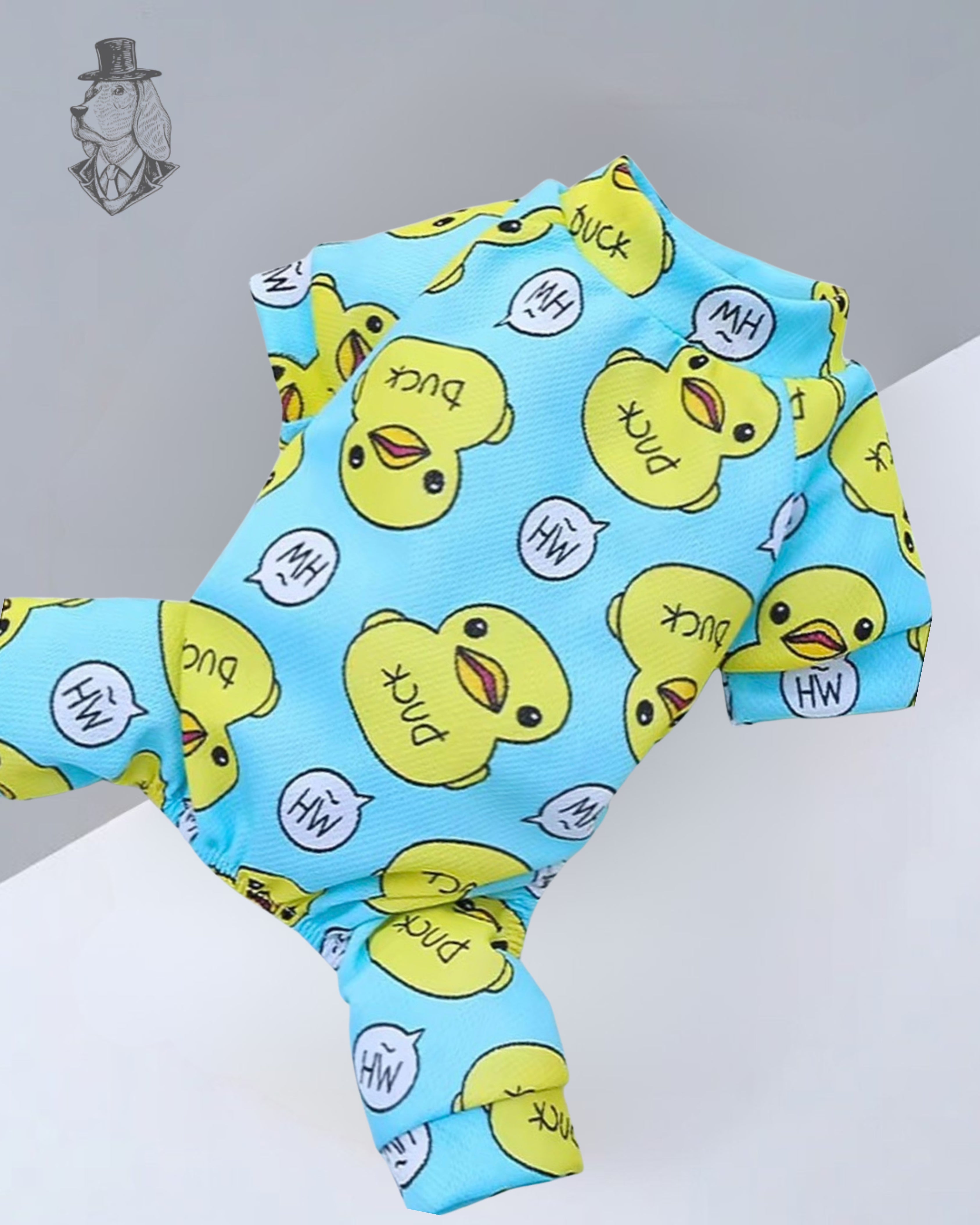 Blue & Pink Duck Soft Jumpsuit