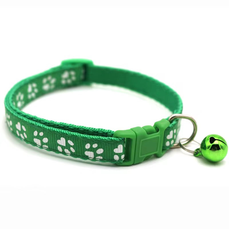 Color Pop Paw Collar 33Cm