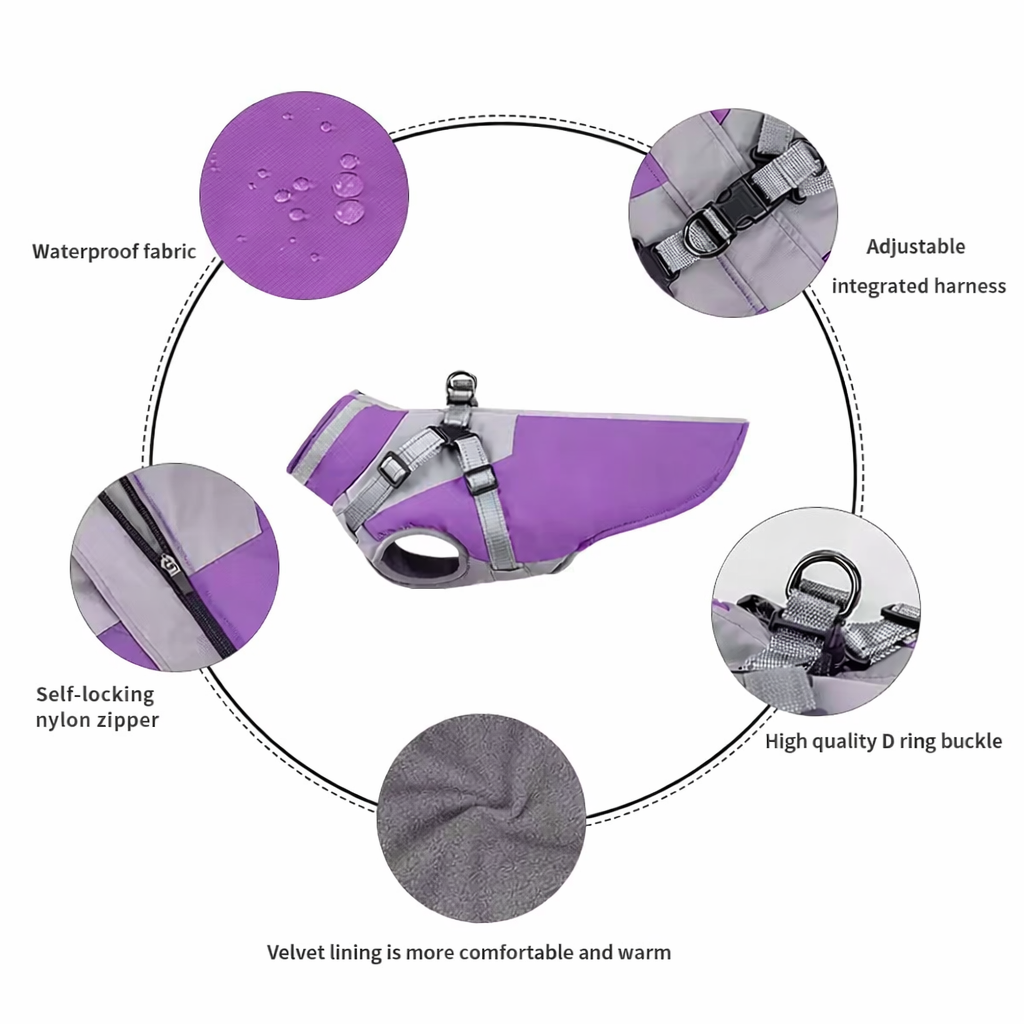 Purple Guard Coat