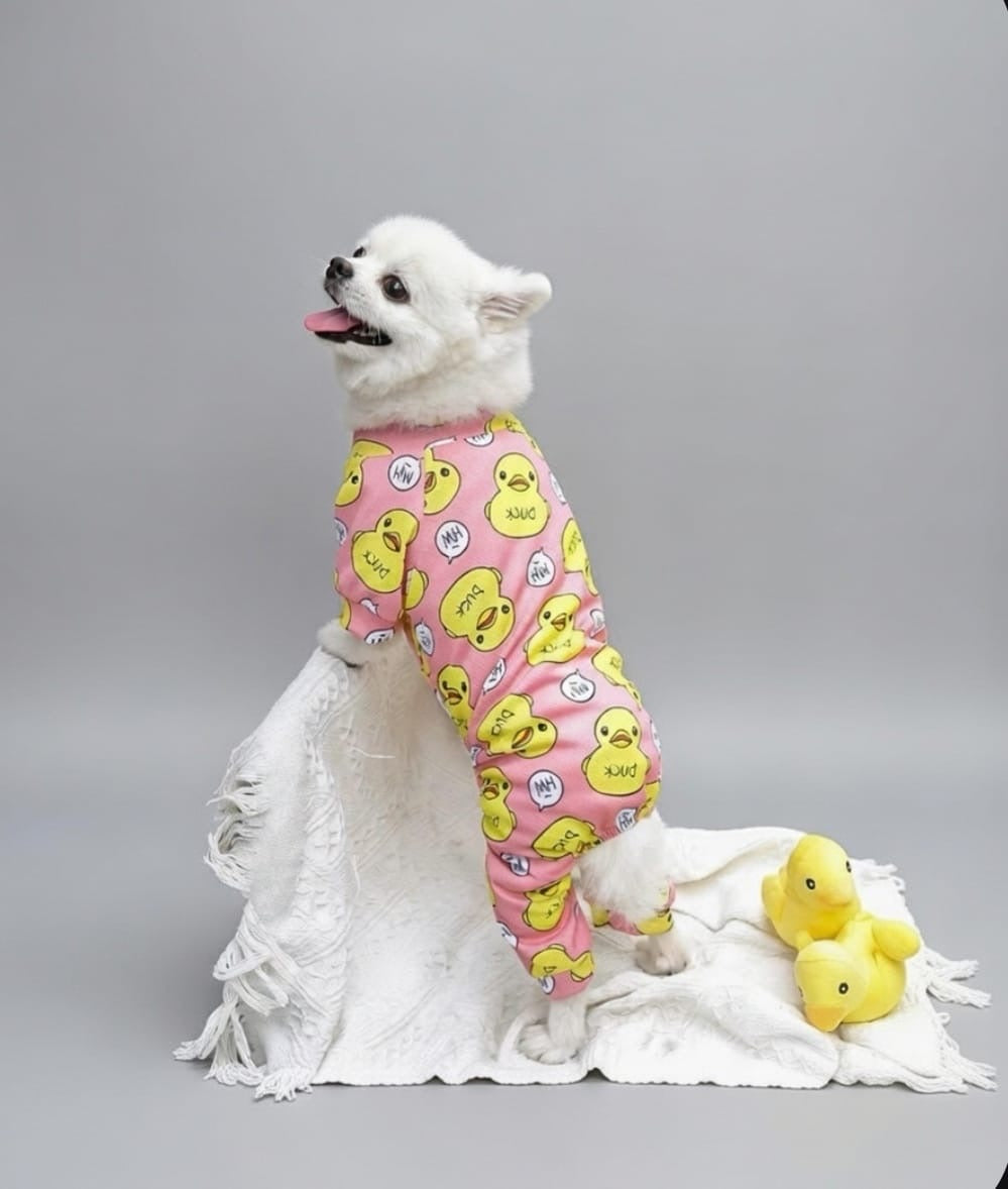 Blue & Pink Duck Soft Jumpsuit