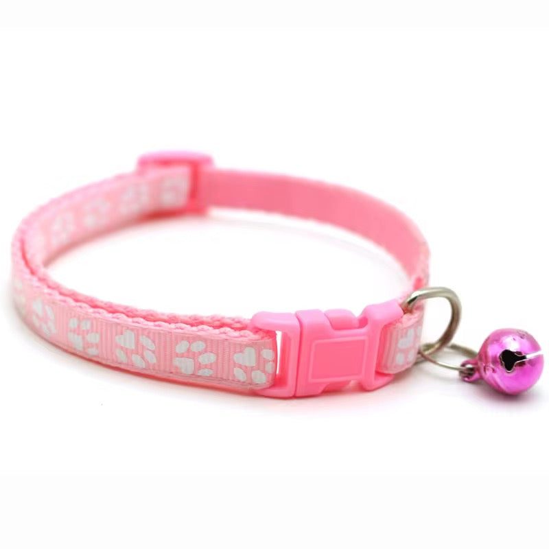 Color Pop Paw Collar 33Cm