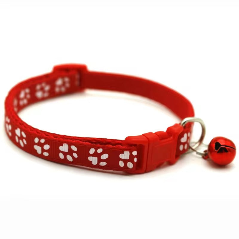 Color Pop Paw Collar 33Cm