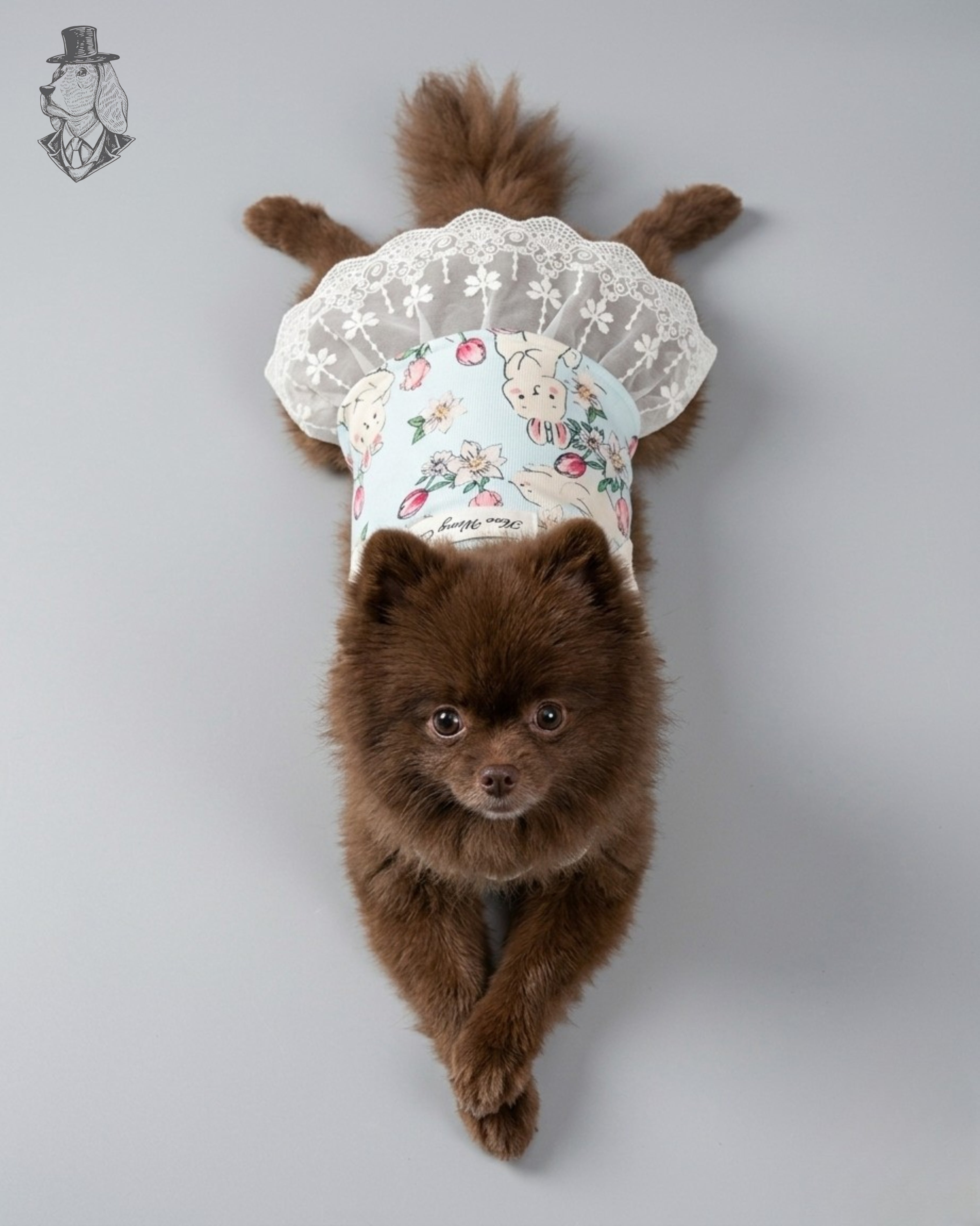 Bunny Bloom Dress