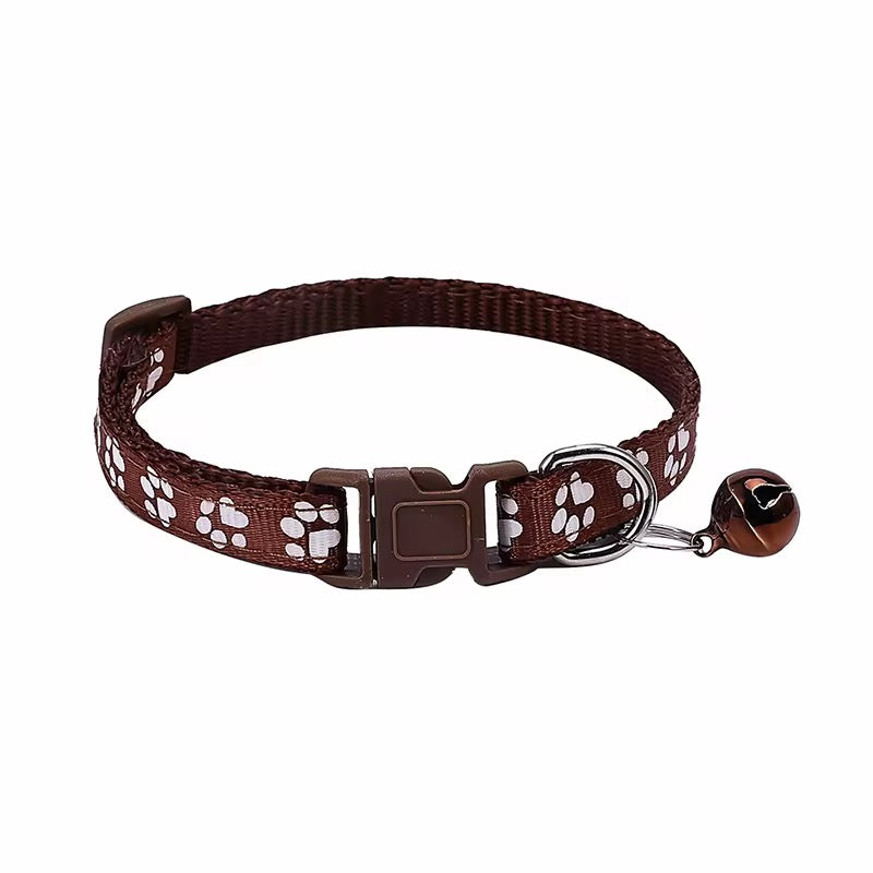 Color Pop Paw Collar 33Cm