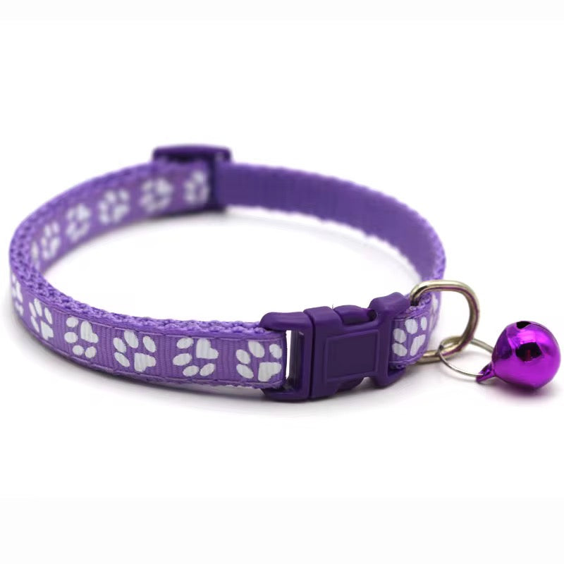 Color Pop Paw Collar 33Cm