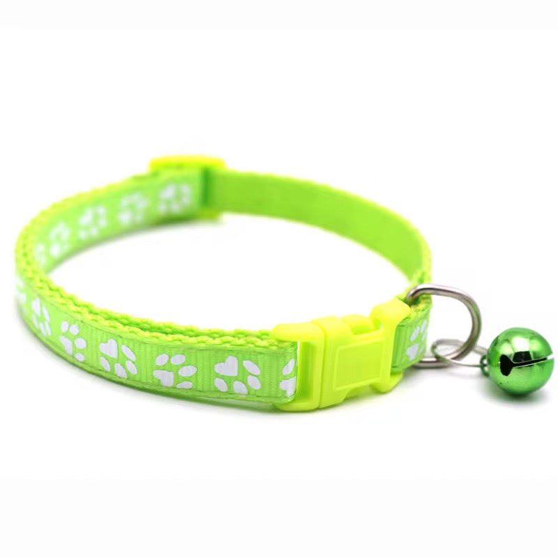 Color Pop Paw Collar 33Cm