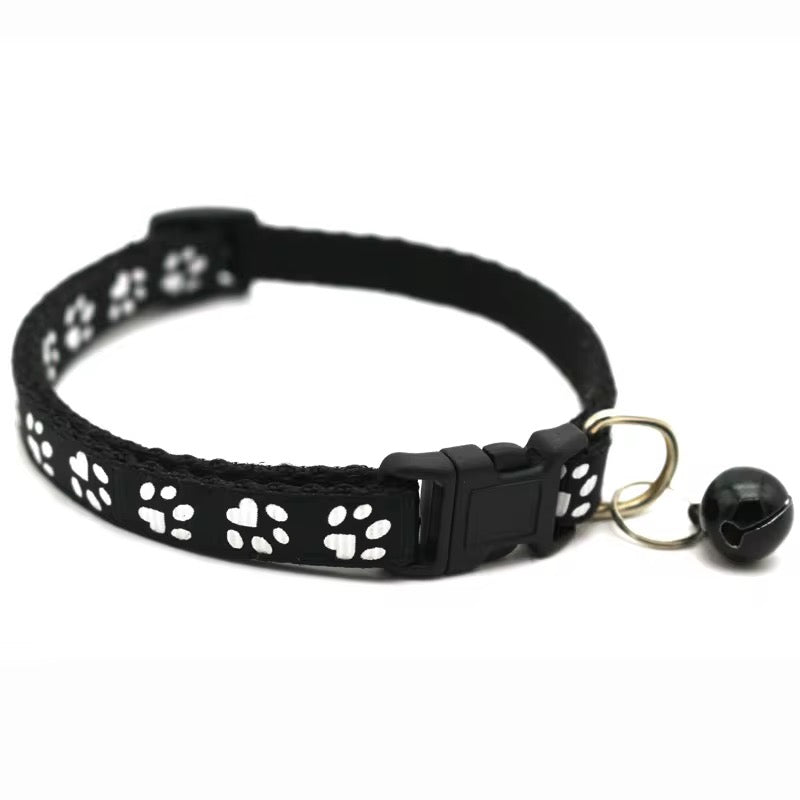 Color Pop Paw Collar 33Cm