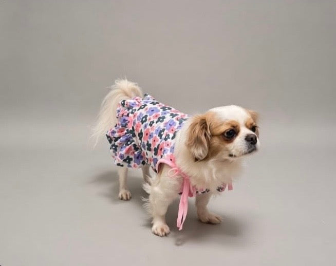 Blossom Charm Dress