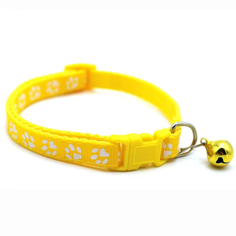 Color Pop Paw Collar 33Cm