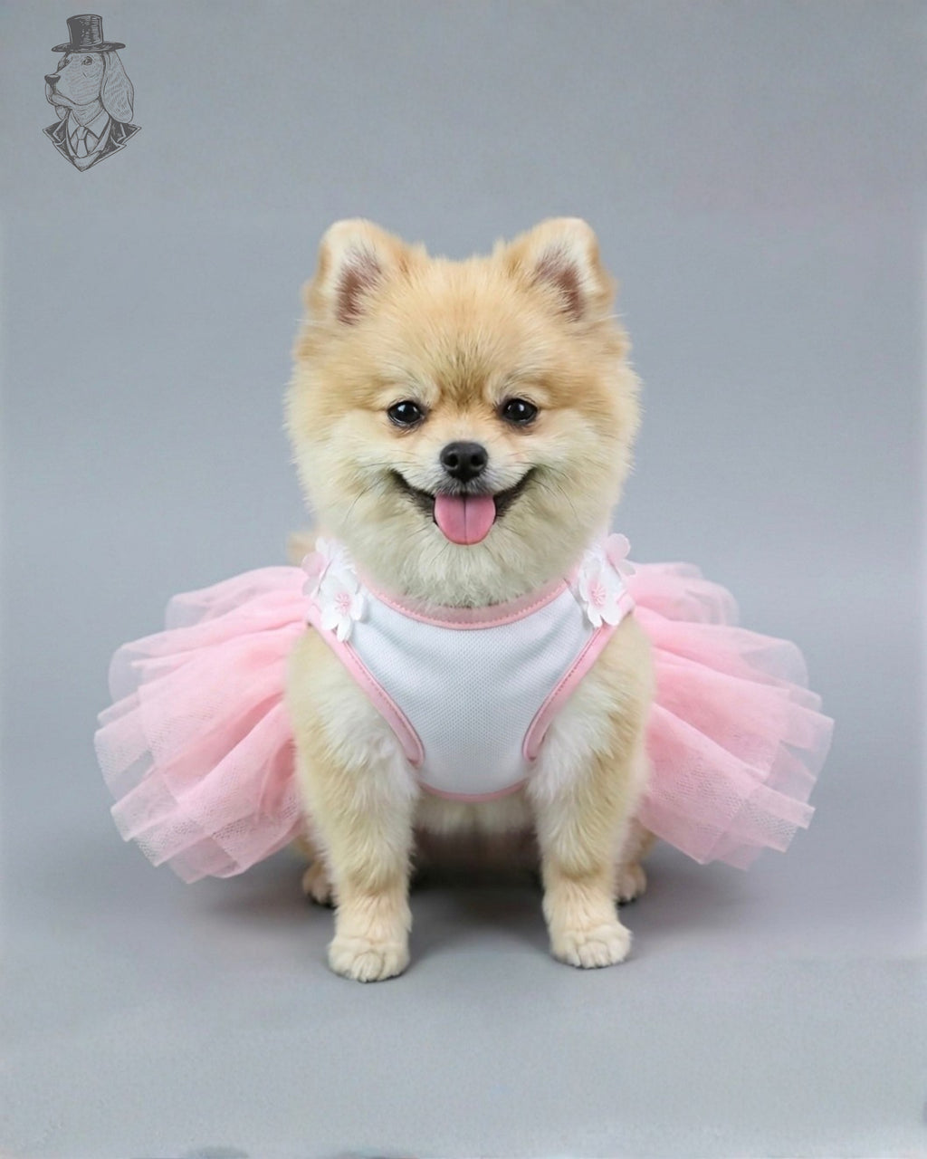 Blossom Princess Dress