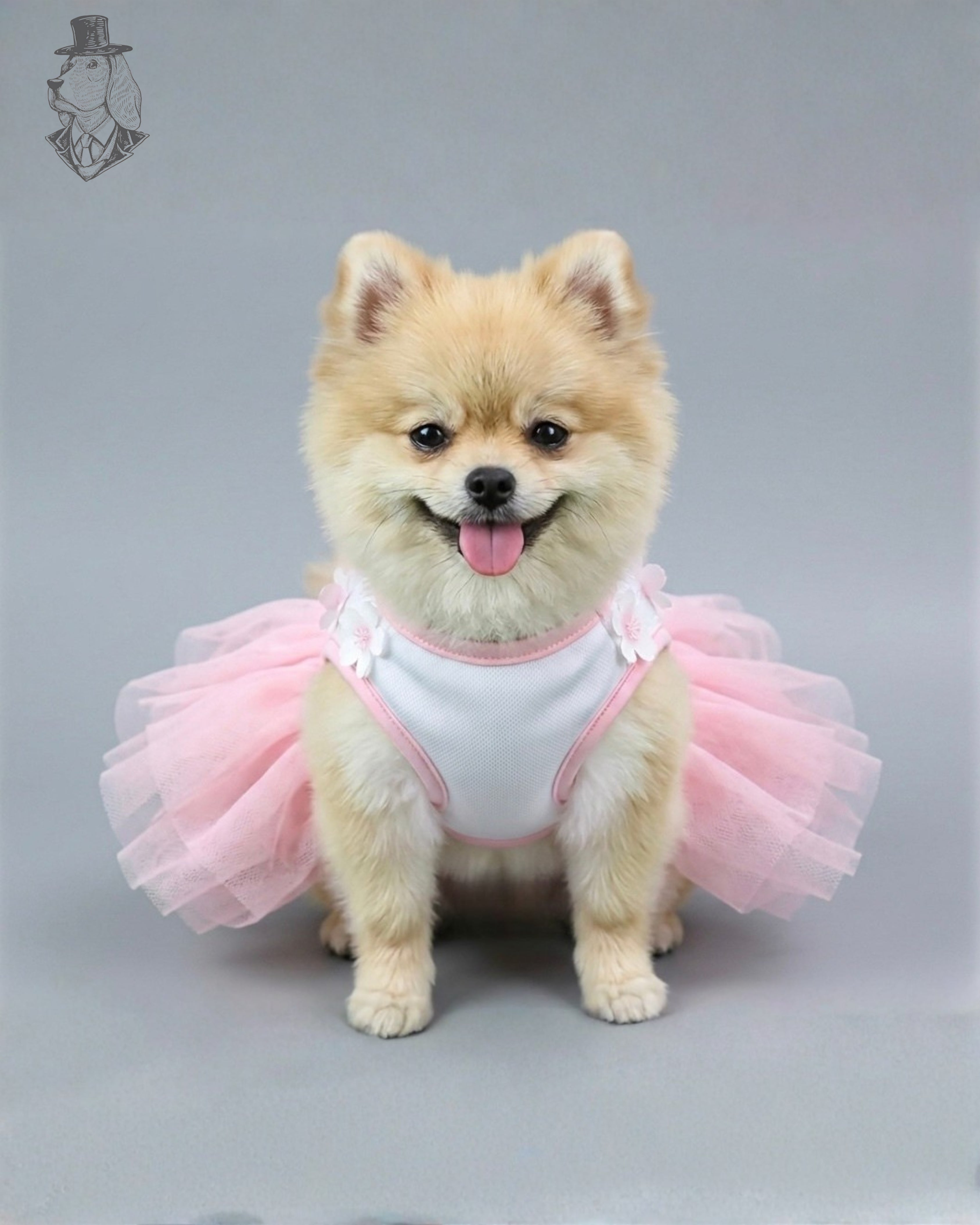 Blossom Princess Dress