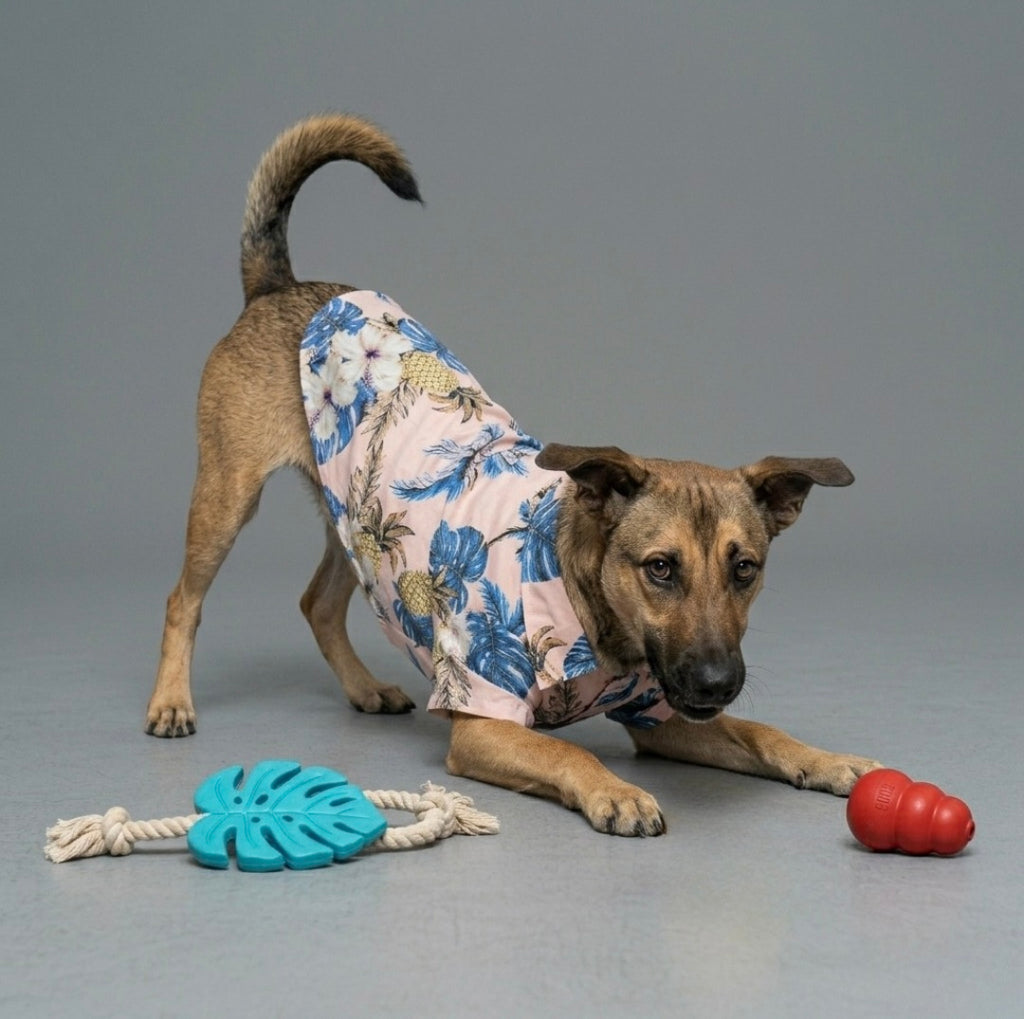 Tropical Breeze Shirt