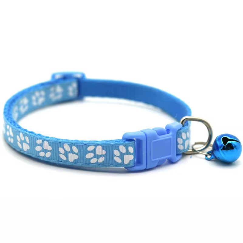 Color Pop Paw Collar 33Cm