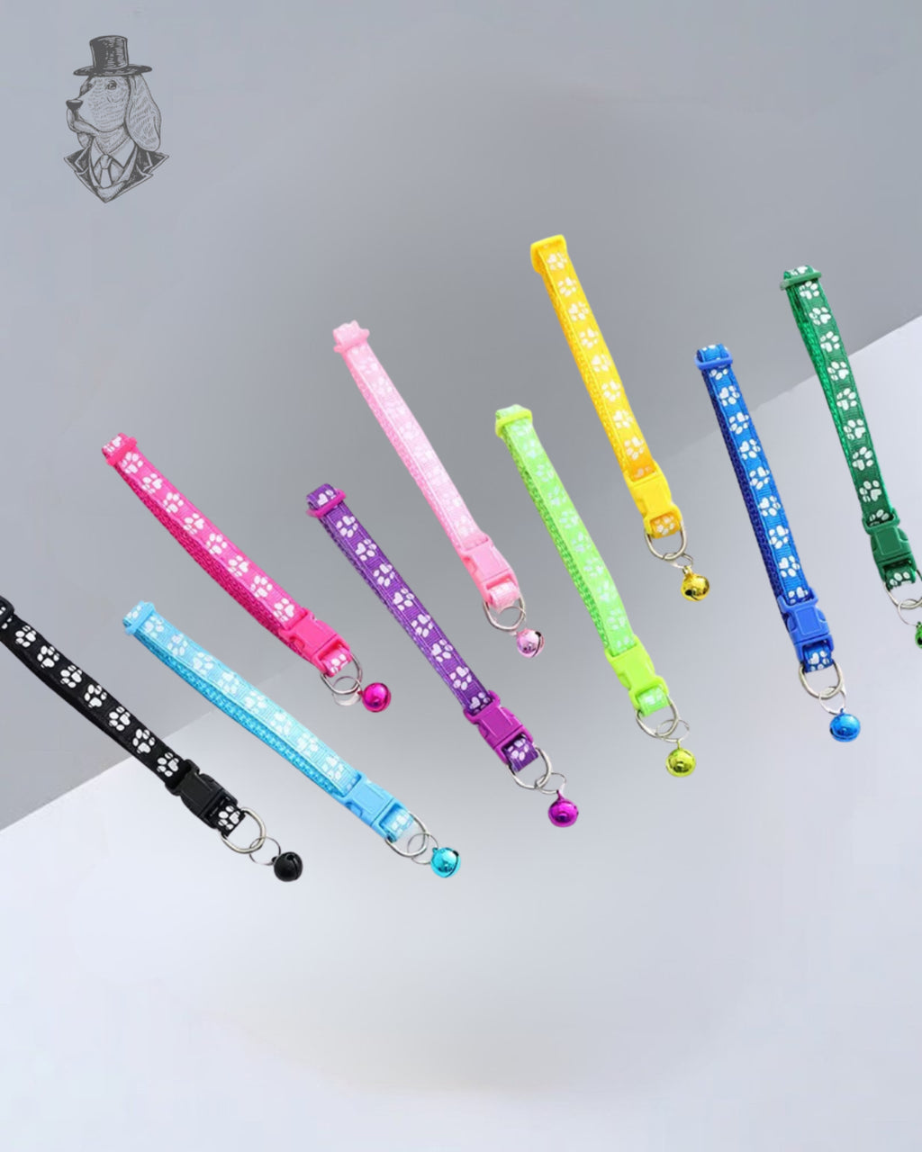Color Pop Paw Collar 33Cm