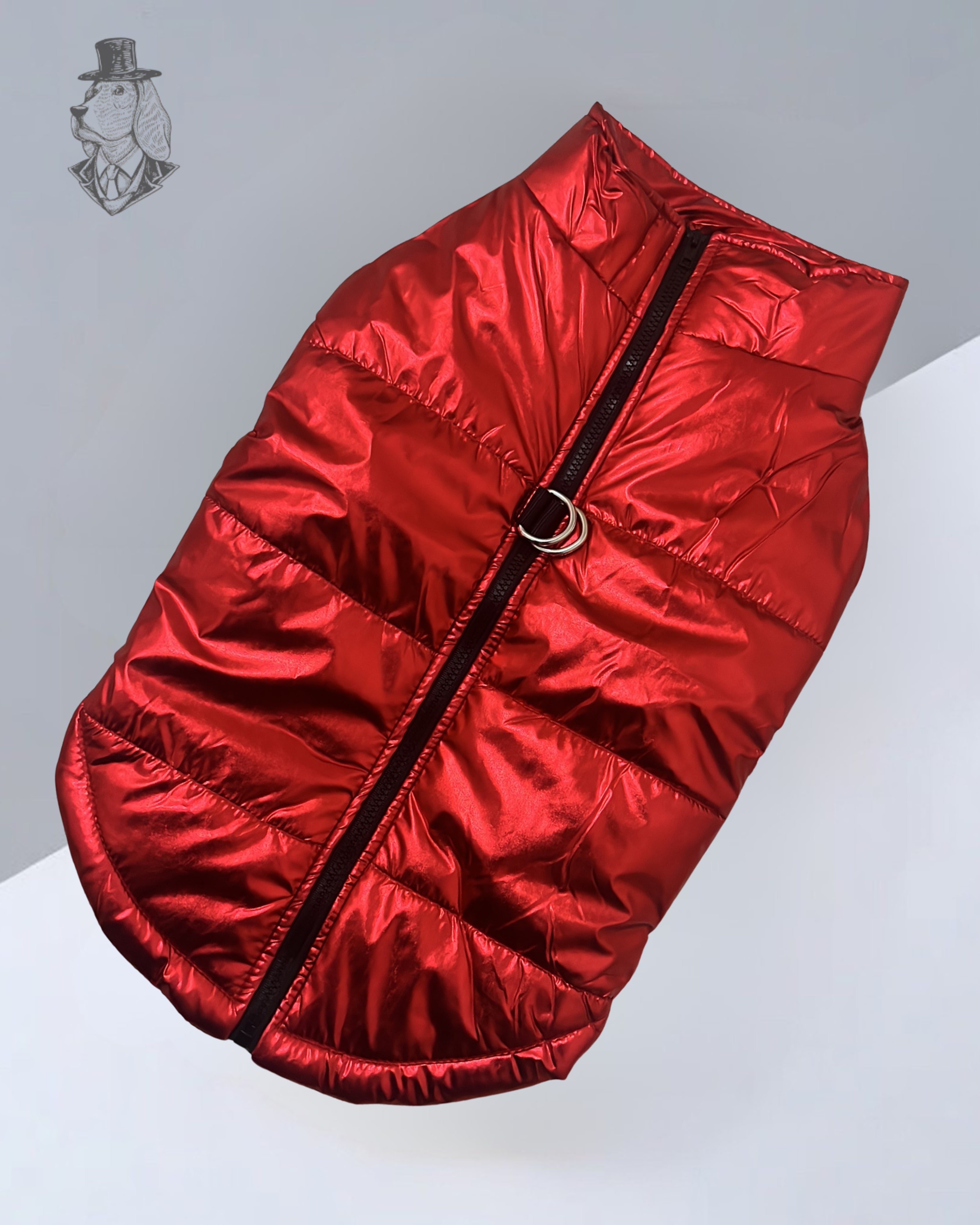 Crimson Majesty Puffer