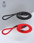 Majesty Pro Training Lead