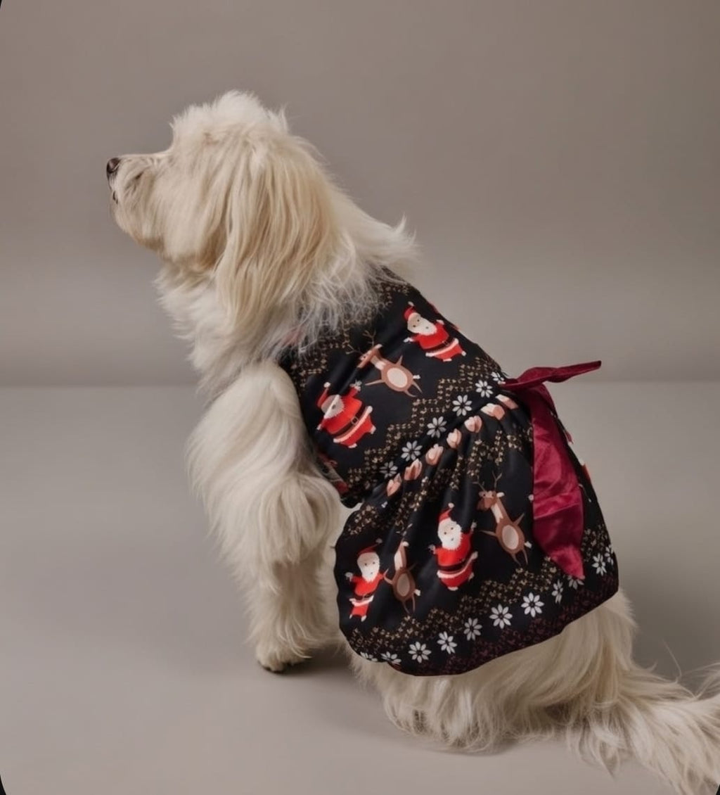 Holiday Belle Dress