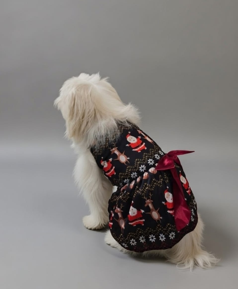 Holiday Belle Dress