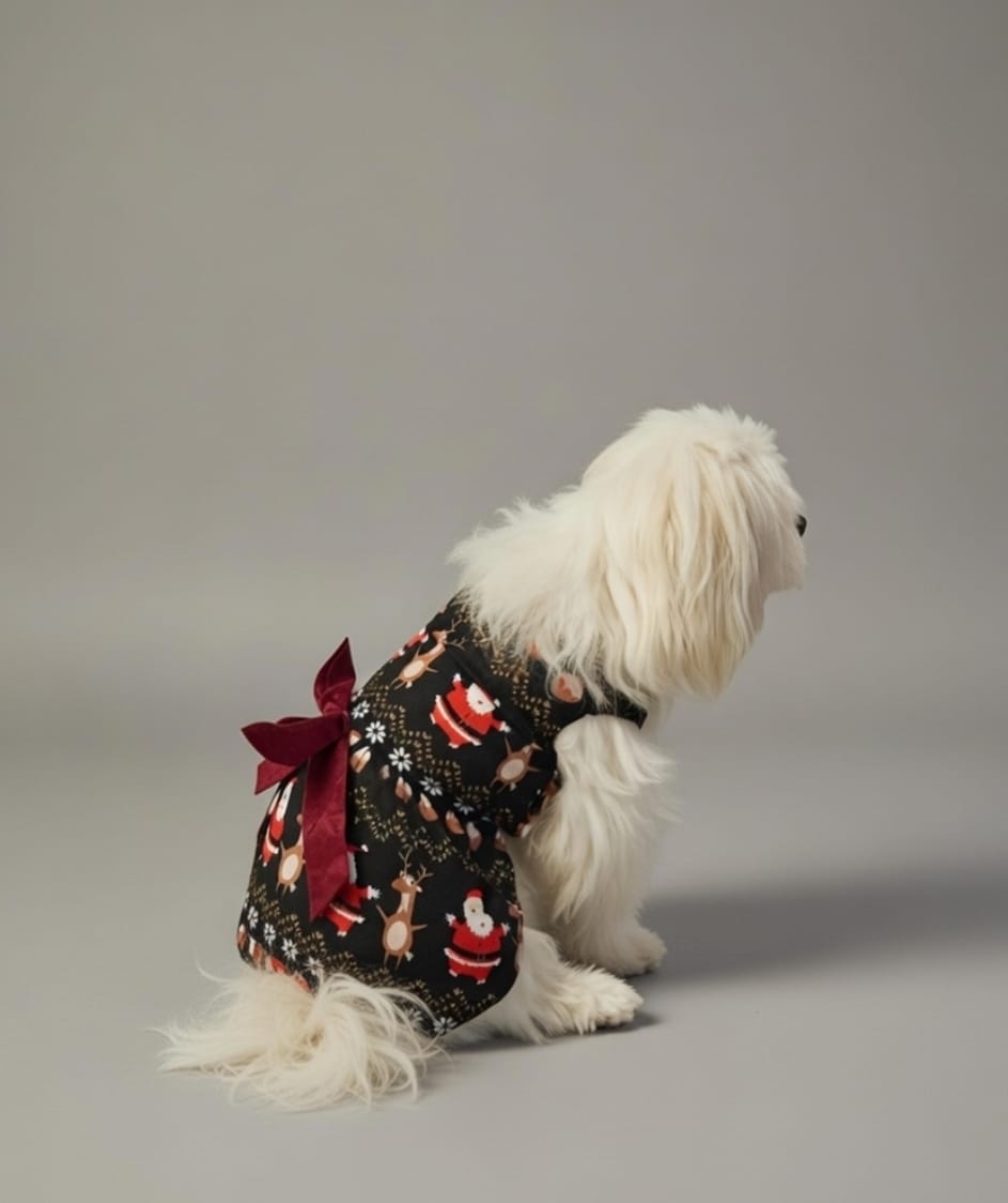 Holiday Belle Dress