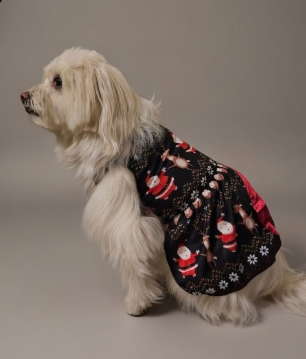 Holiday Belle Dress