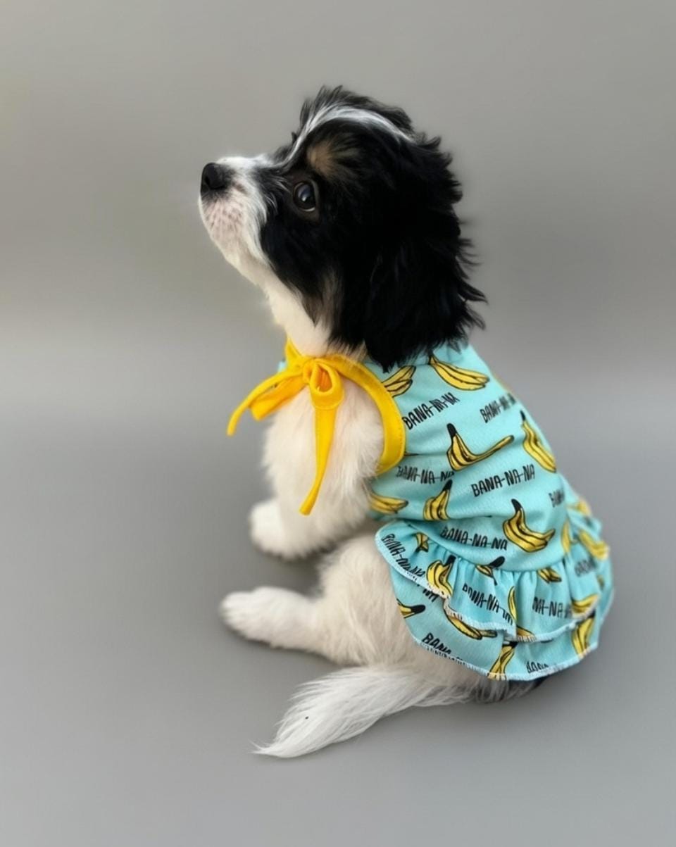 Banana  Dress
