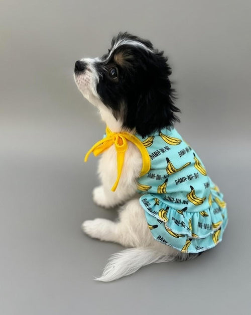 Banana  Dress