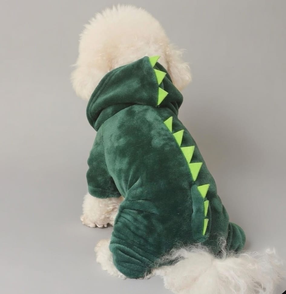 Dino Jumpsuit